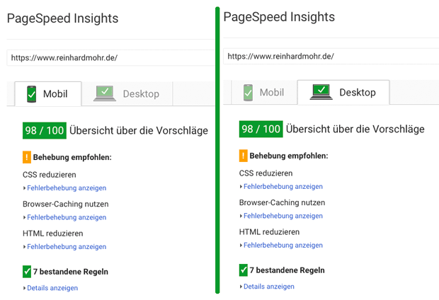Grafik „Page-Speed-Messung mit Google“ für die Website von Reinhard Mohr, München